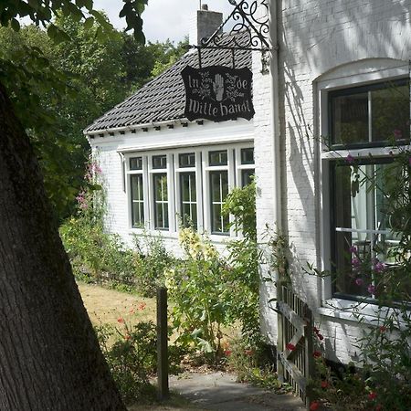 In De Witte Handt Midsland Exteriér fotografie